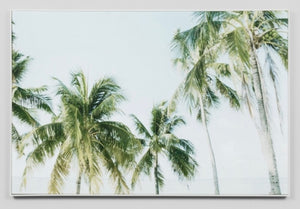 Sunlit Palms Canvas print